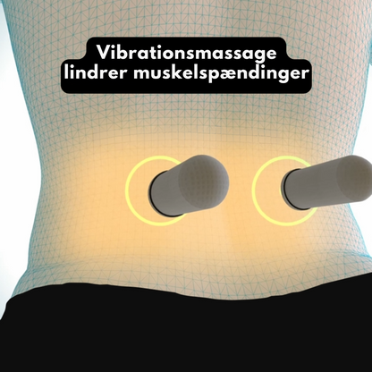 Arionis 3-i-1 rygmassager